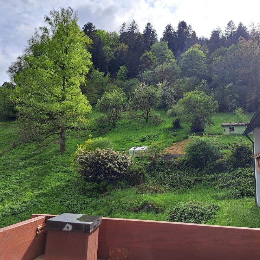 Wohn-Eitel Sonnenblick Appartement Bad Wildbad Buitenkant foto